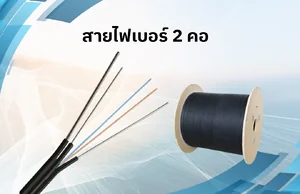 2 CORE