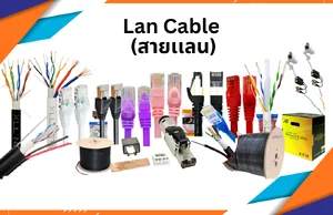 Lan Cable (สายเเลน)