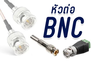 หัว BNC